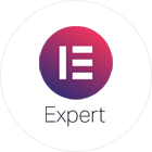 elementor-expert-website-design-california
